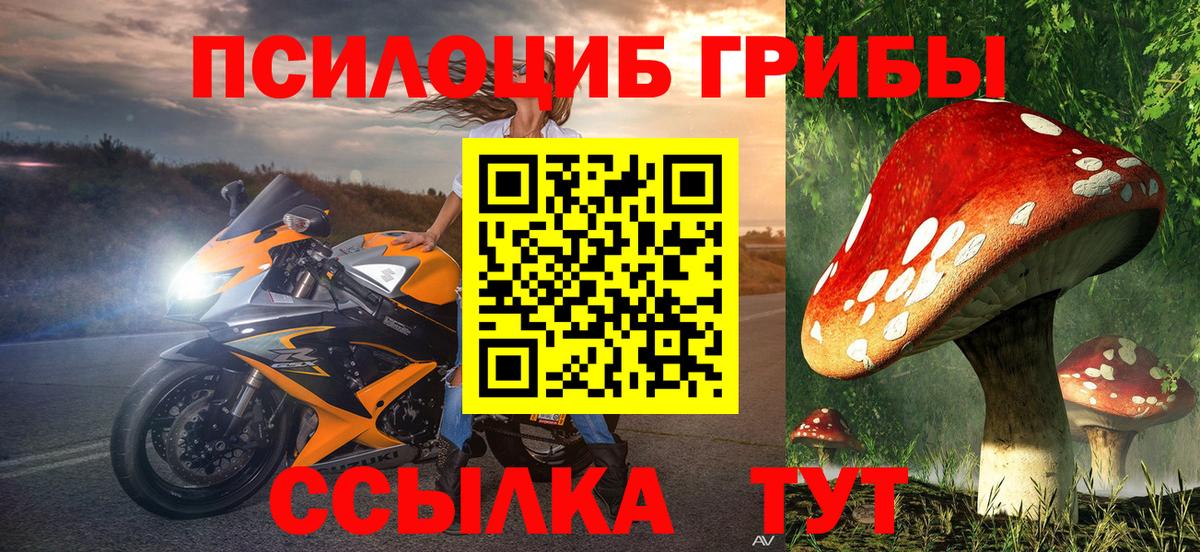 Димитровград  Галлюциногенные грибы мицелий  Вход с VPN 